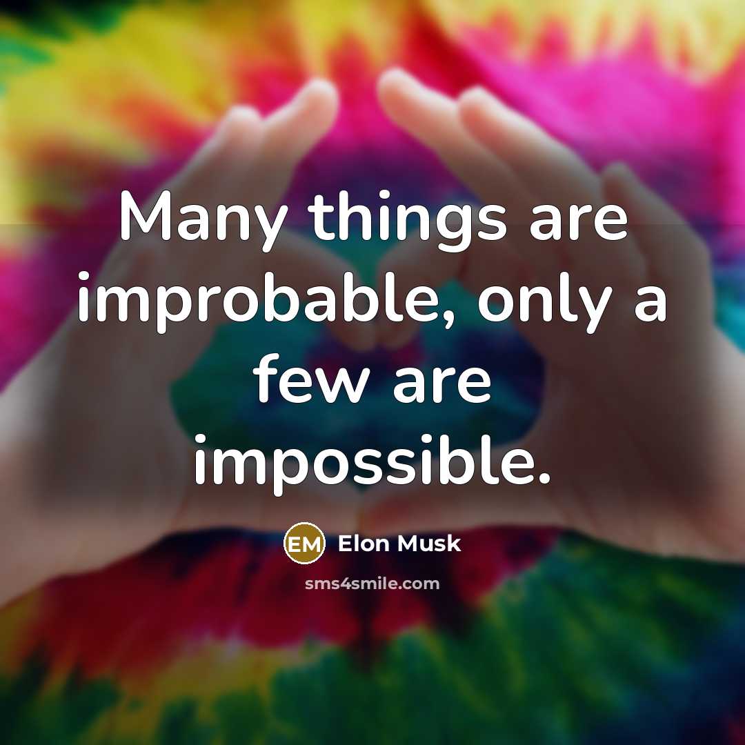 “Many things are improbable, only a few are impossible.…” quote by Elon Musk