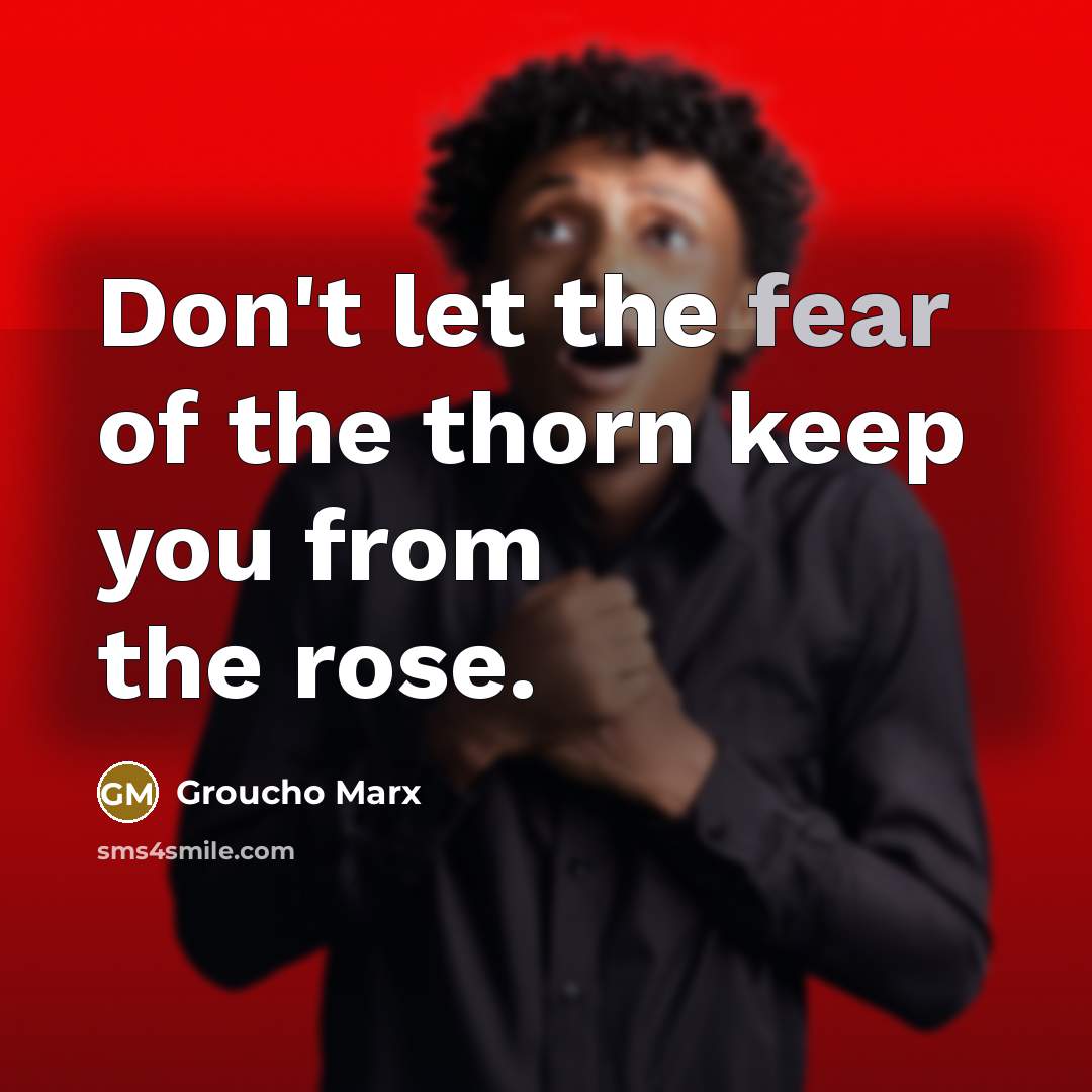 “Don't let the fear of the thorn keep you from…” quote by Groucho Marx