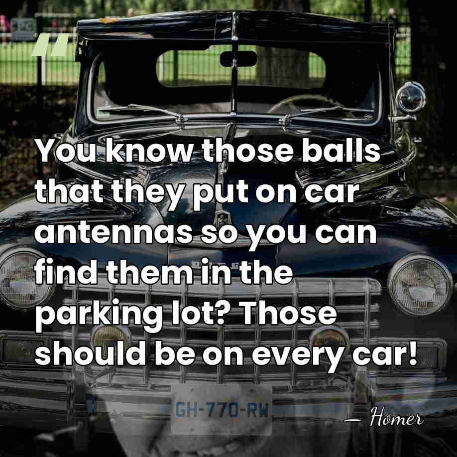 You know those balls that they put on car antennas so you&hellip; - Homer