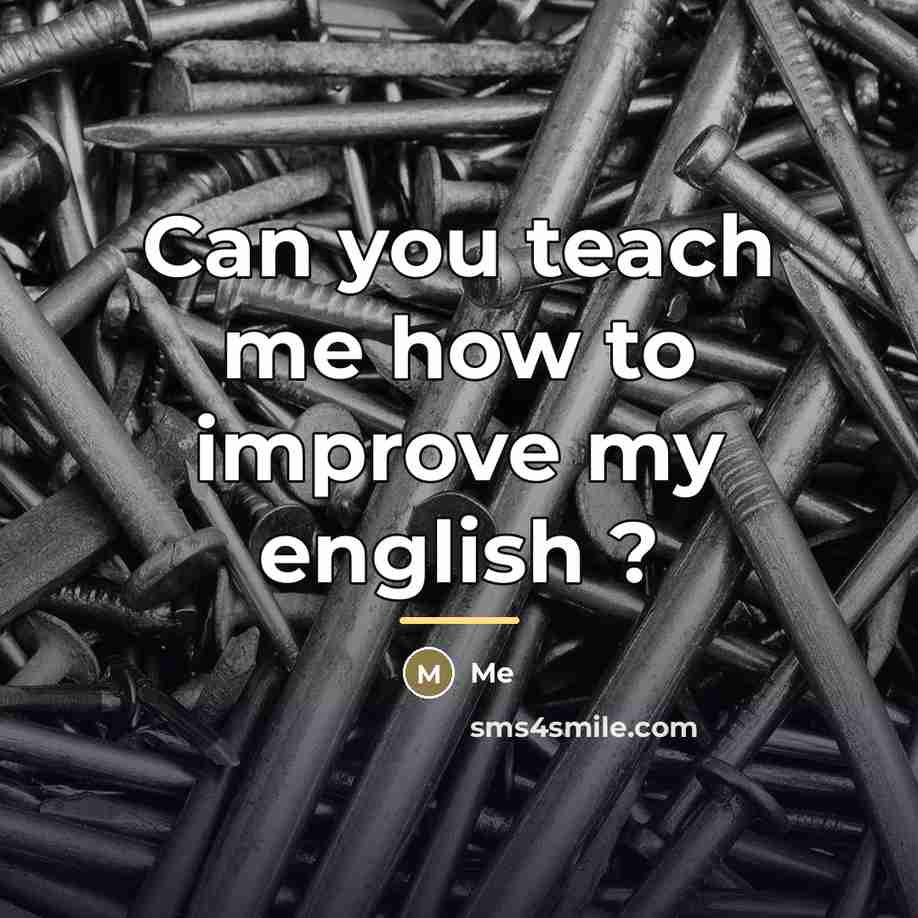“Can you teach me how to improve my english ?…” quote by Me