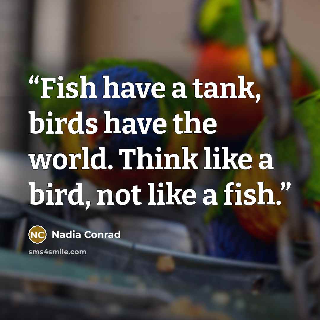 “Fish have a tank, birds have the world. Think like a bird, not like a fish.” quote by Nadia Conrad