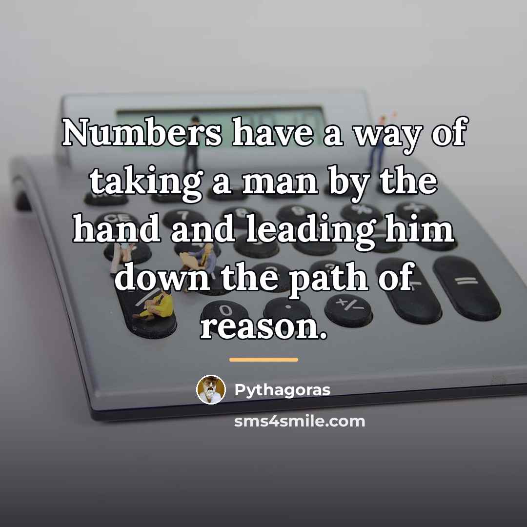 “Numbers have a way of taking a man by the…” quote by Pythagoras