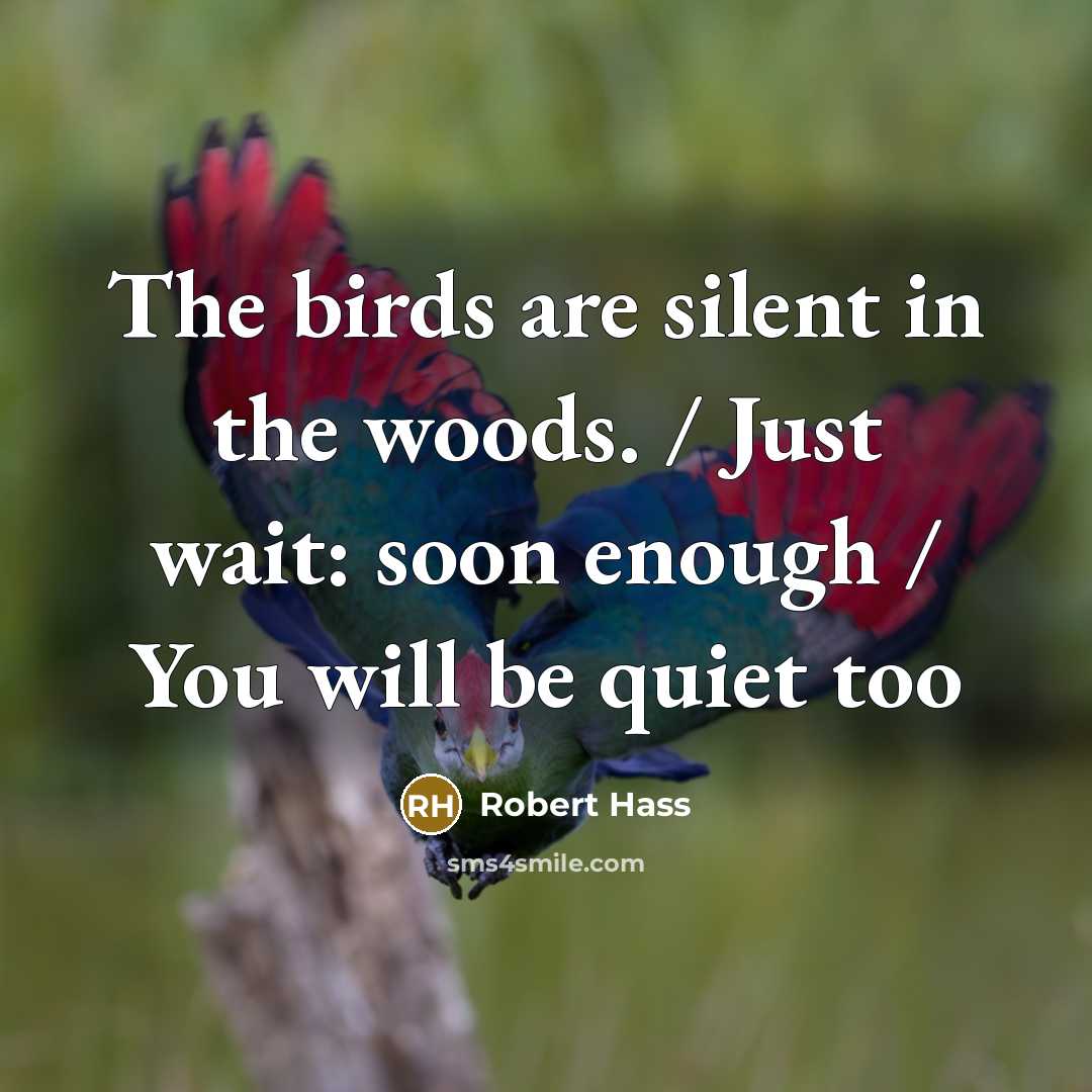 “The birds are silent in the woods. / Just wait:…” quote by Robert Hass