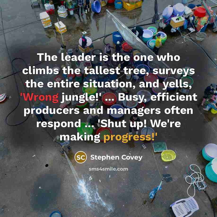 “The leader is the one who climbs the tallest tree,…” quote by Stephen Covey