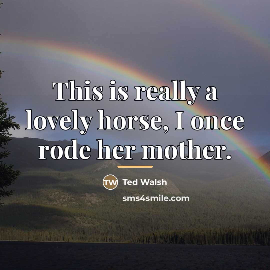 “This is really a lovely horse, I once rode her…” quote by Ted Walsh