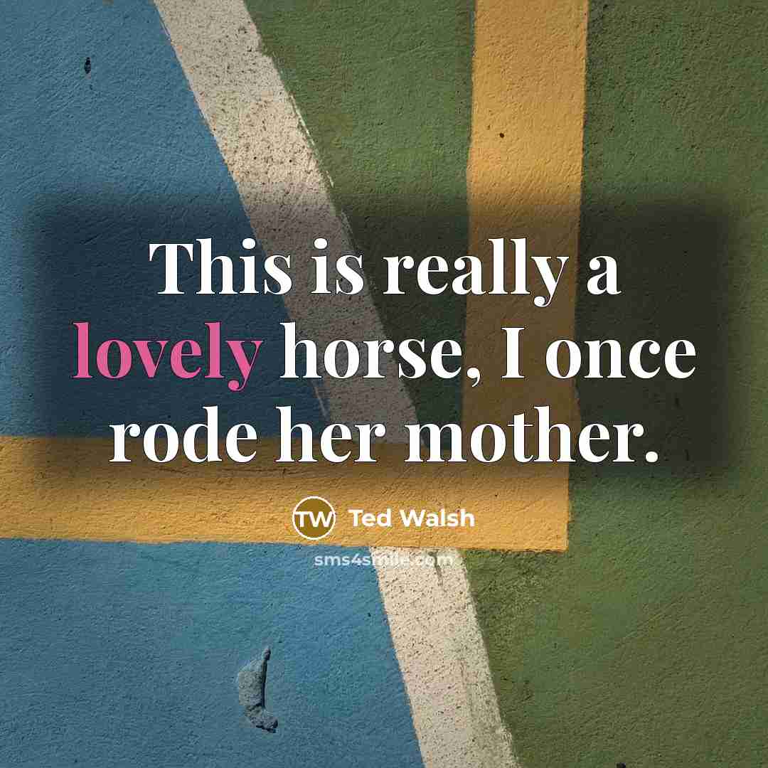 “This is really a lovely horse, I once rode her mother.” quote by Ted Walsh