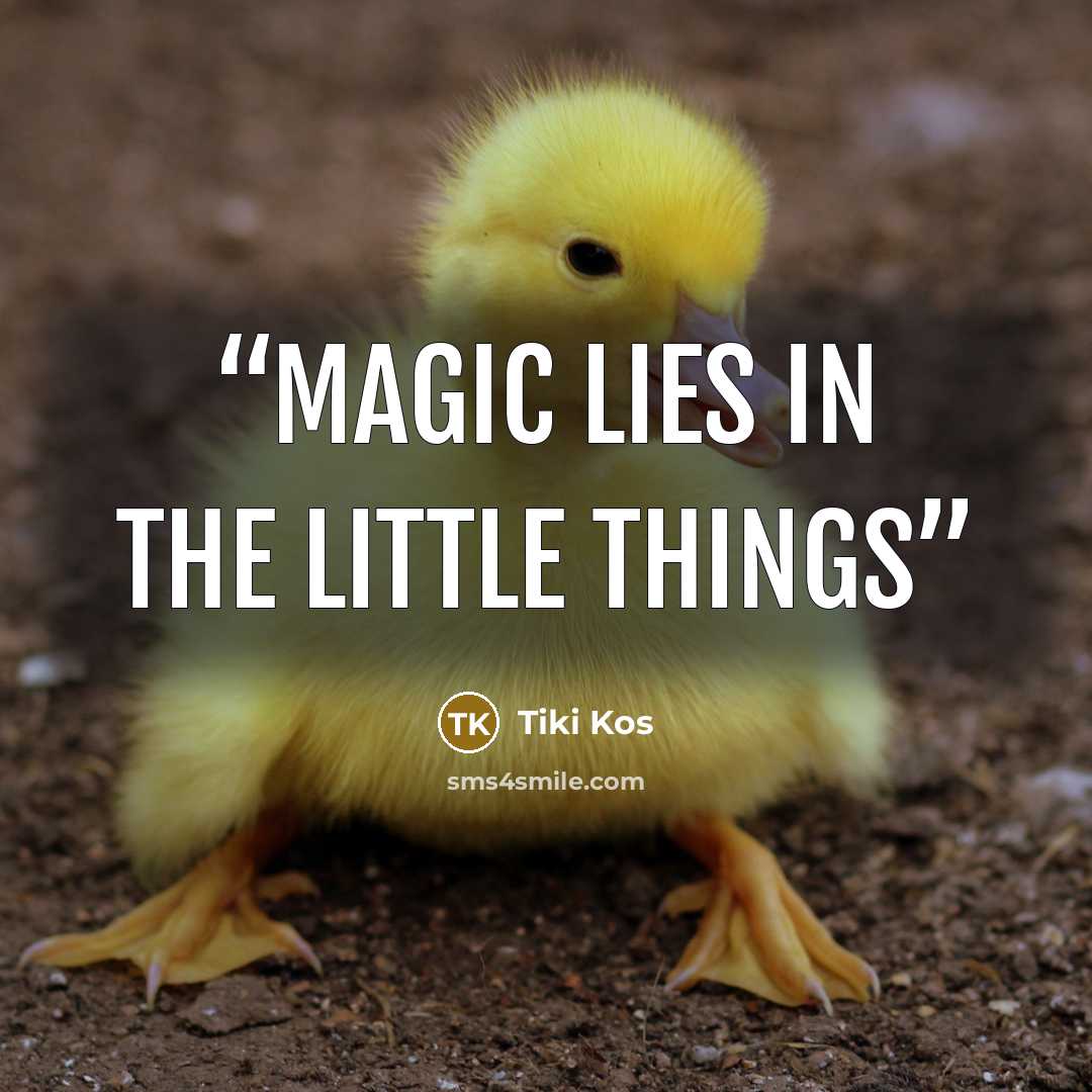 “Magic lies in the little things” quote by Tiki Kos