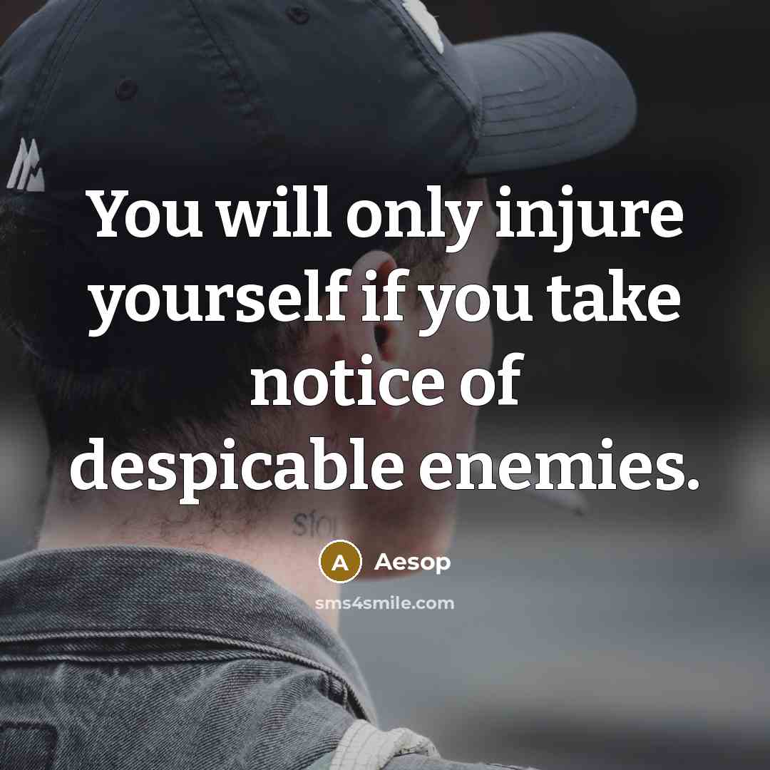 “You will only injure yourself if you take notice of despicable enemies.” quote by Aesop
