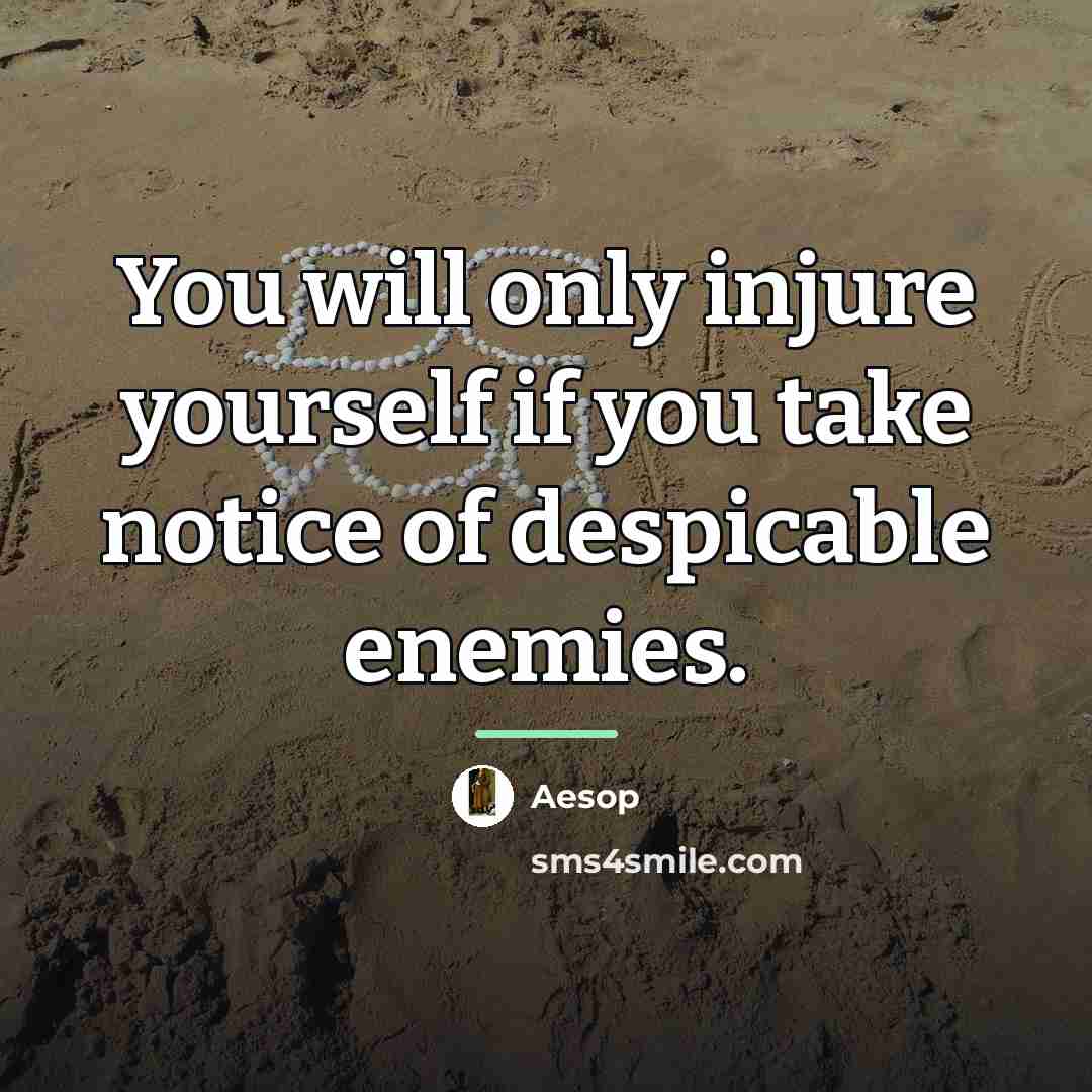 “You will only injure yourself if you take notice of…” quote by Aesop