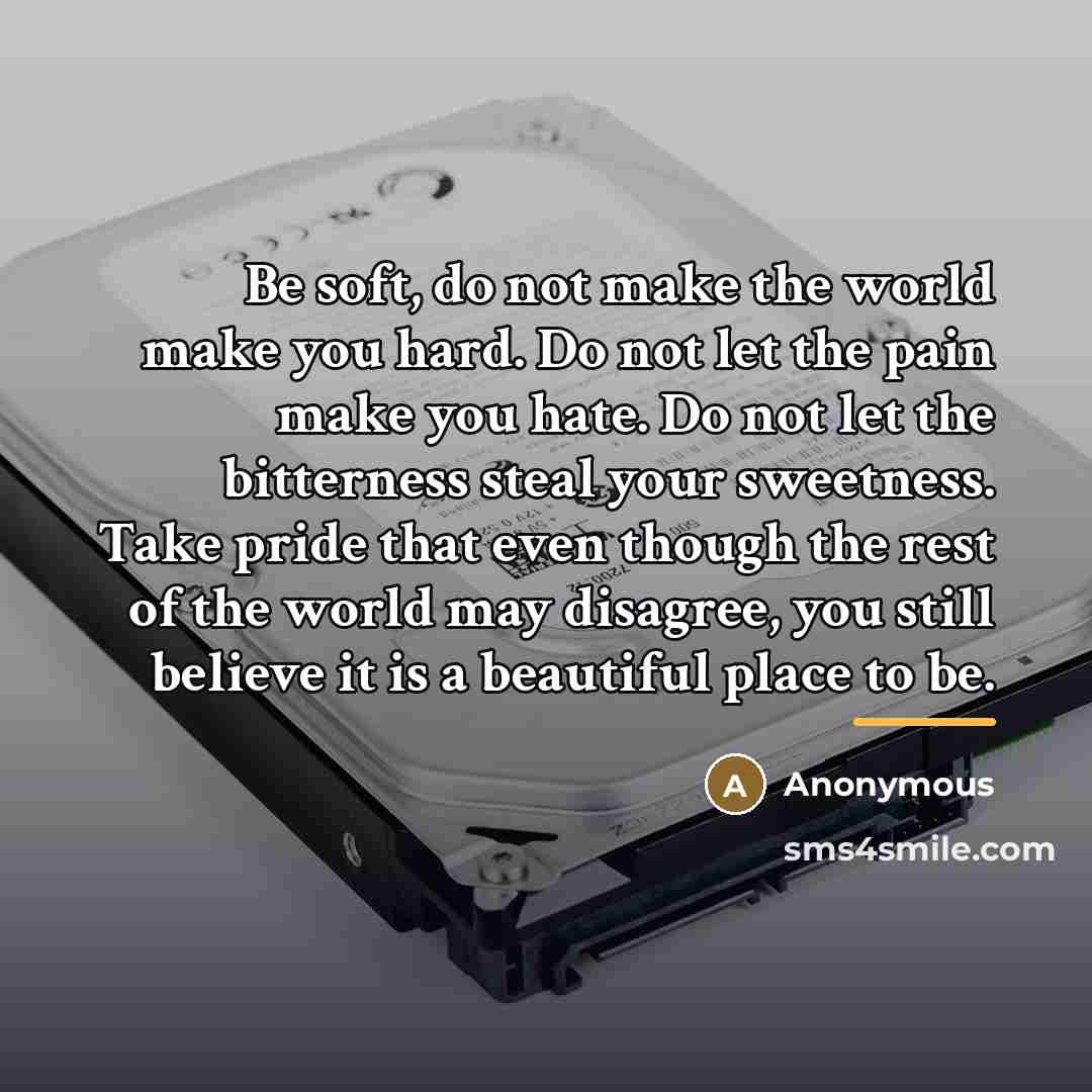 “Be soft, do not make the world make you hard.…” quote by Anonymous