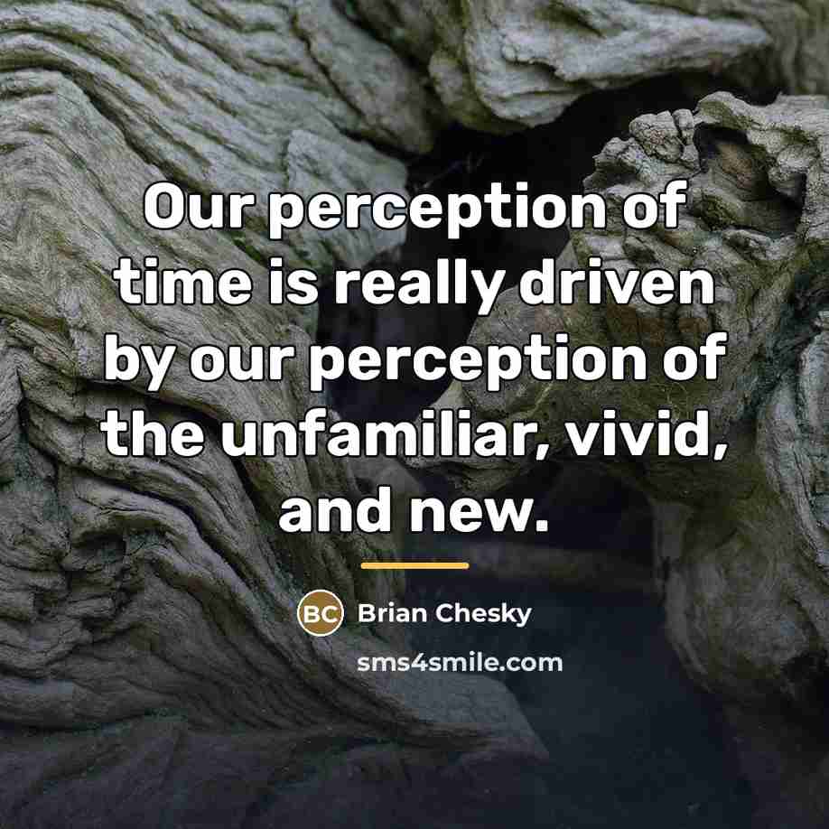 “Our perception of time is really driven by our perception…” quote by Brian Chesky