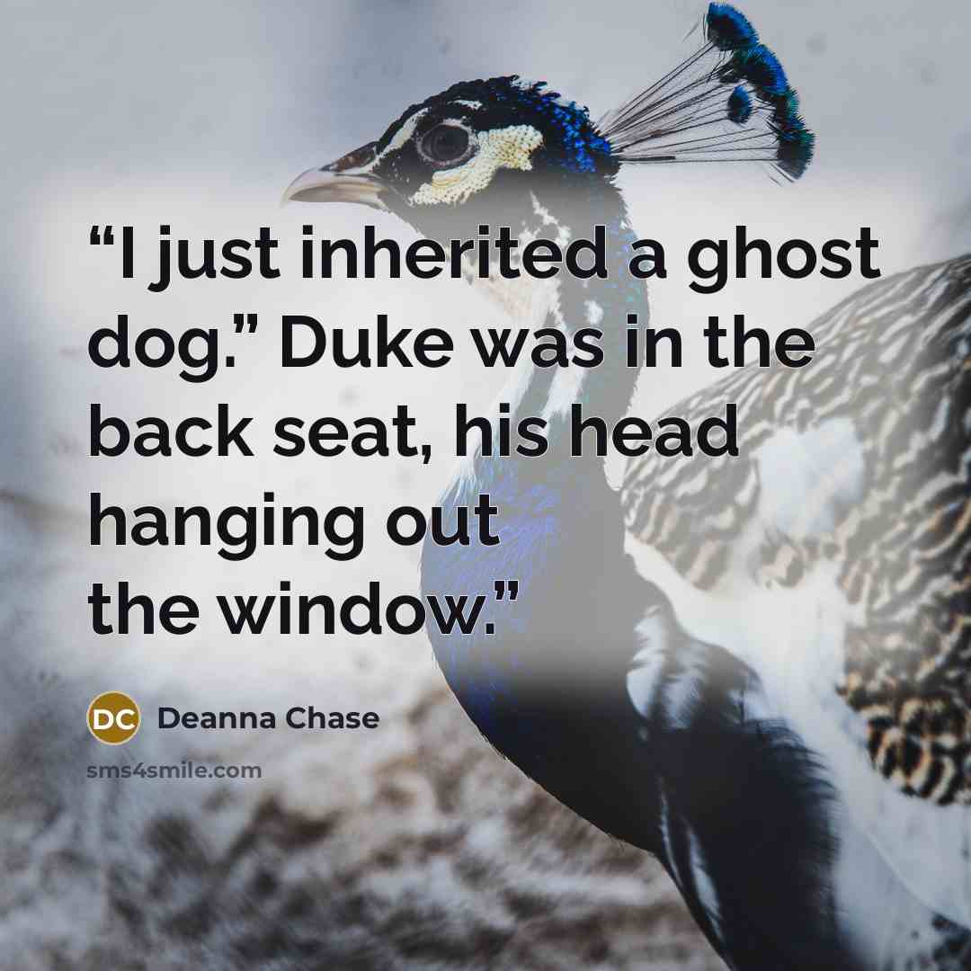 “I just inherited a ghost dog.” Duke was in the back seat, his head hanging out the window.” quote by Deanna Chase