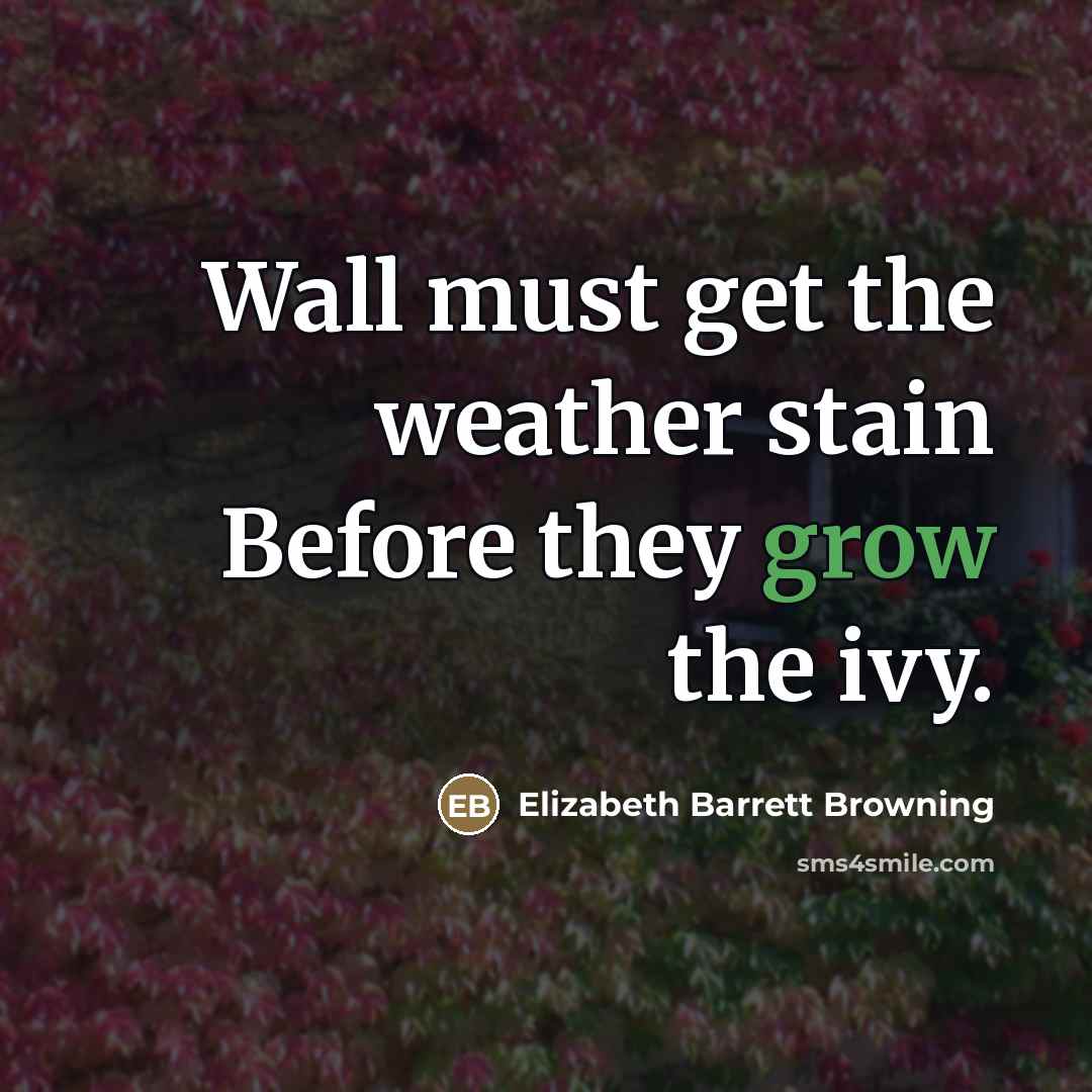 “Wall must get the weather stain Before they grow the…” quote by Elizabeth Barrett Browning