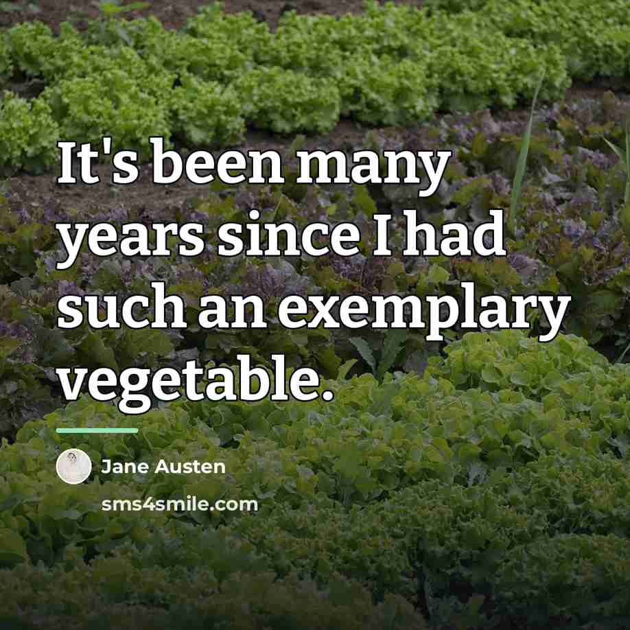 “It's been many years since I had such an exemplary…” quote by Jane Austen