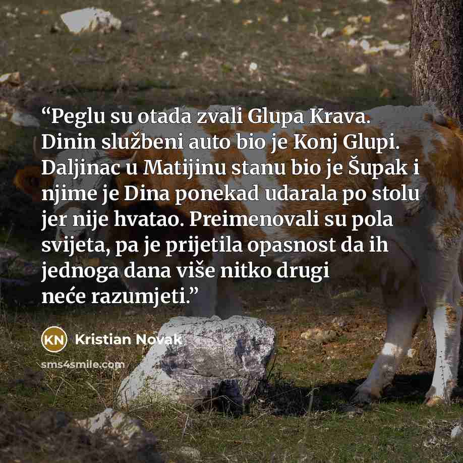 “Peglu su otada zvali Glupa Krava. Dinin službeni auto bio je Konj Glupi. Daljinac u Matijinu stanu bio je Šupak i njime je Dina ponekad udarala po stolu jer nije hvatao. Preimenovali su pola svijeta, pa je prijetila opasnost da ih jednoga dana više nitko drugi neće razumjeti.” quote by Kristian Novak