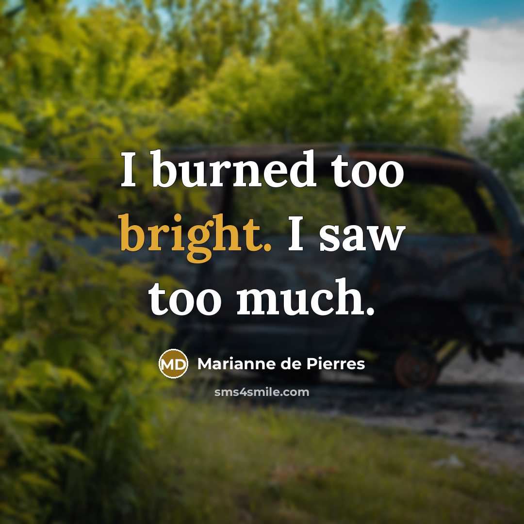 “I burned too bright. I saw too much.…” quote by Marianne de Pierres