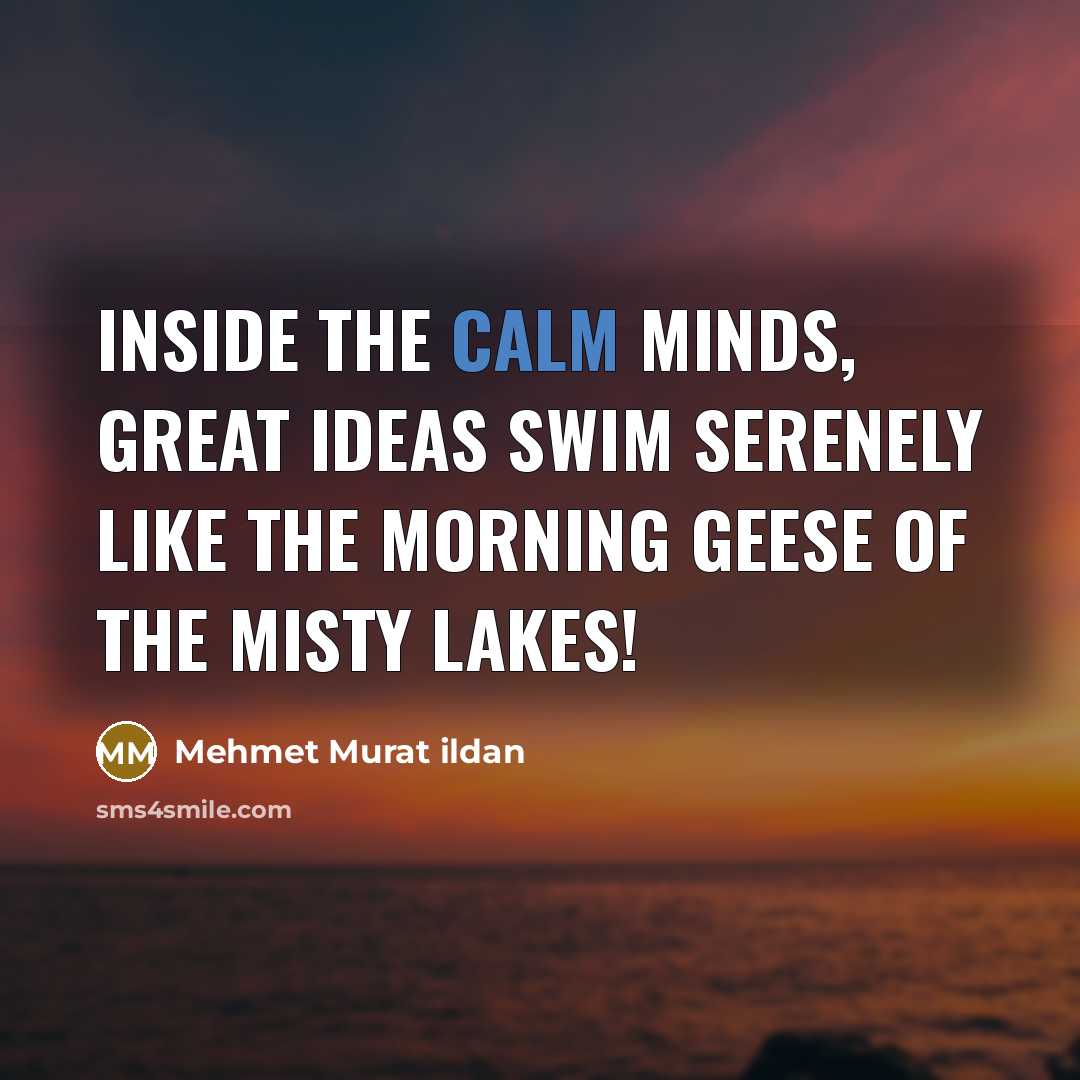 “Inside the calm minds, great ideas swim serenely like the…” quote by Mehmet Murat Ildan