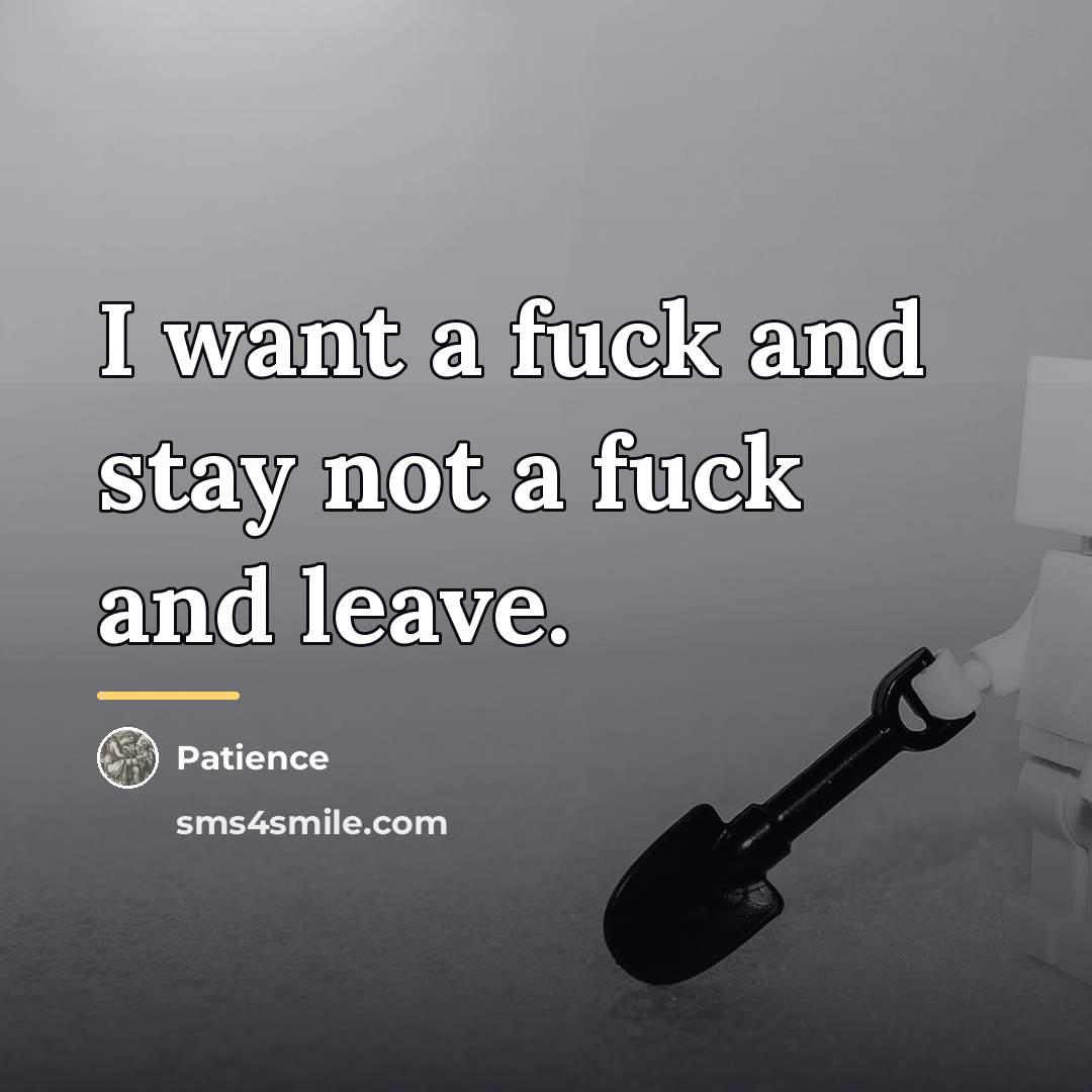 “I want a fuck and stay not a fuck and…” quote by Patience