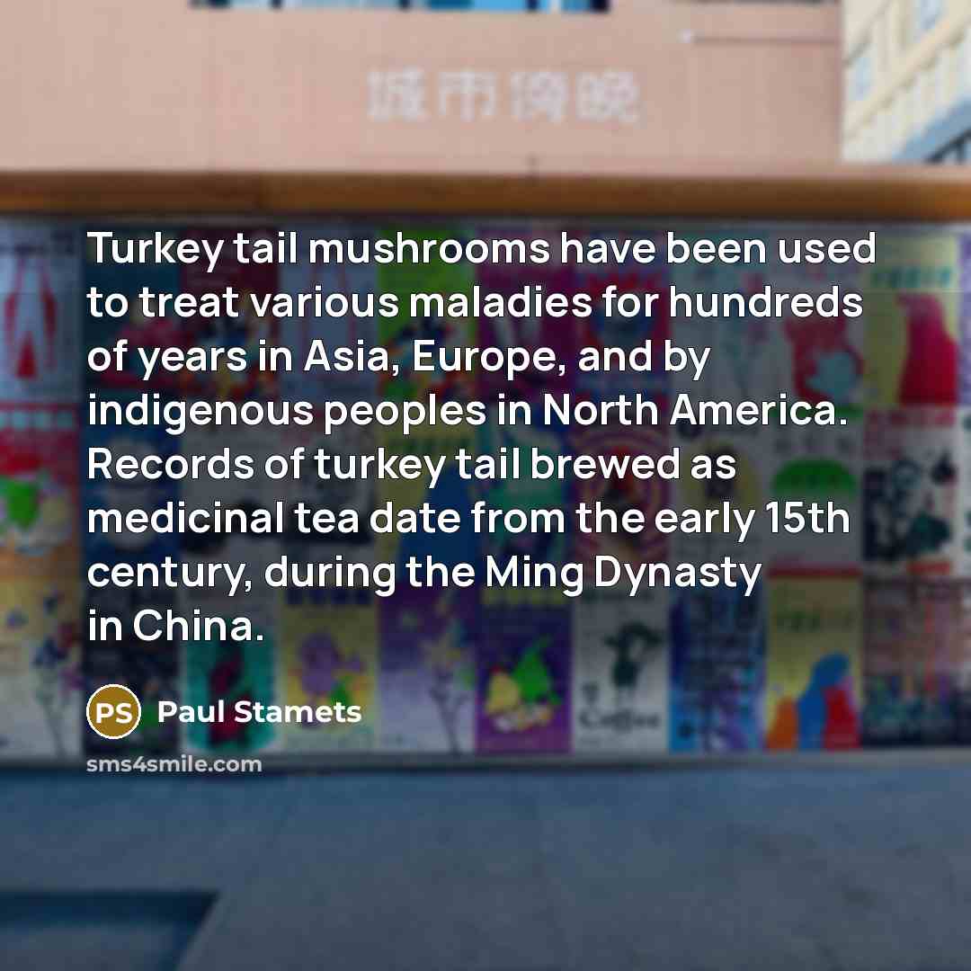 “Turkey tail mushrooms have been used to treat various maladies…” quote by Paul Stamets