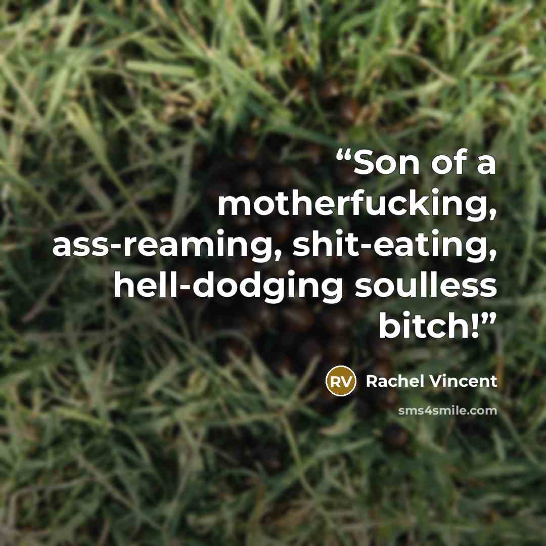 “Son of a motherfucking, ass-reaming, shit-eating, hell-dodging soulless bitch!” quote by Rachel Vincent