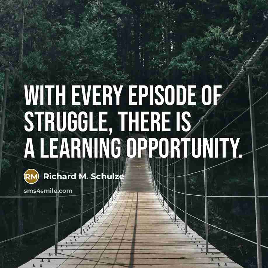 “With every episode of struggle, there is a learning opportunity.…” quote by Richard M. Schulze