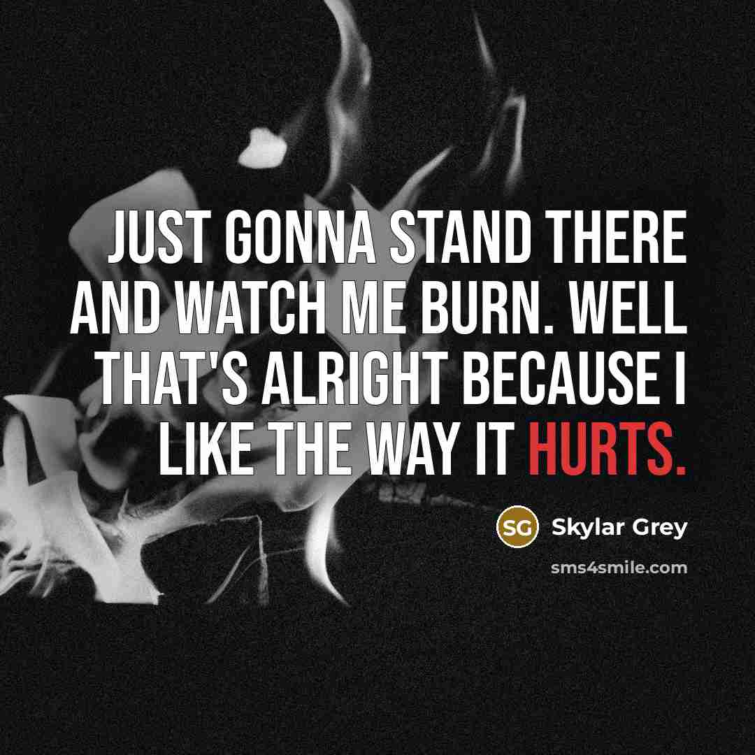“Just gonna stand there and watch me burn. Well that's alright because I like the way it hurts.” quote by Skylar Grey