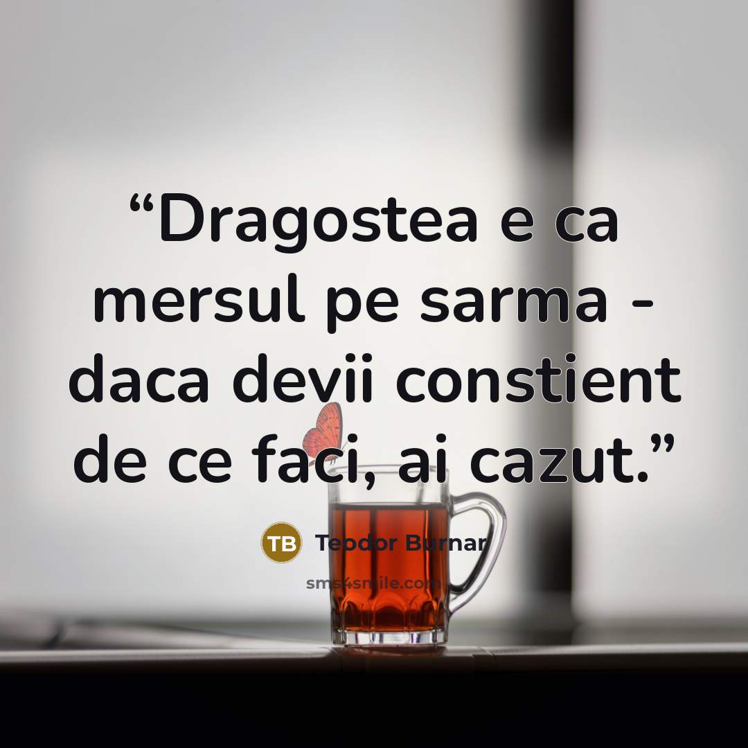 “Dragostea e ca mersul pe sarma - daca devii constient de ce faci, ai cazut.” quote by Teodor Burnar