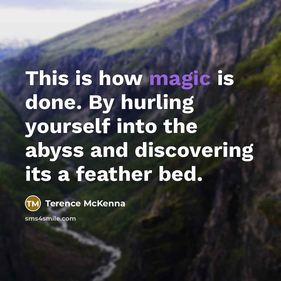 “This is how magic is done. By hurling yourself into…” quote by Terence McKenna