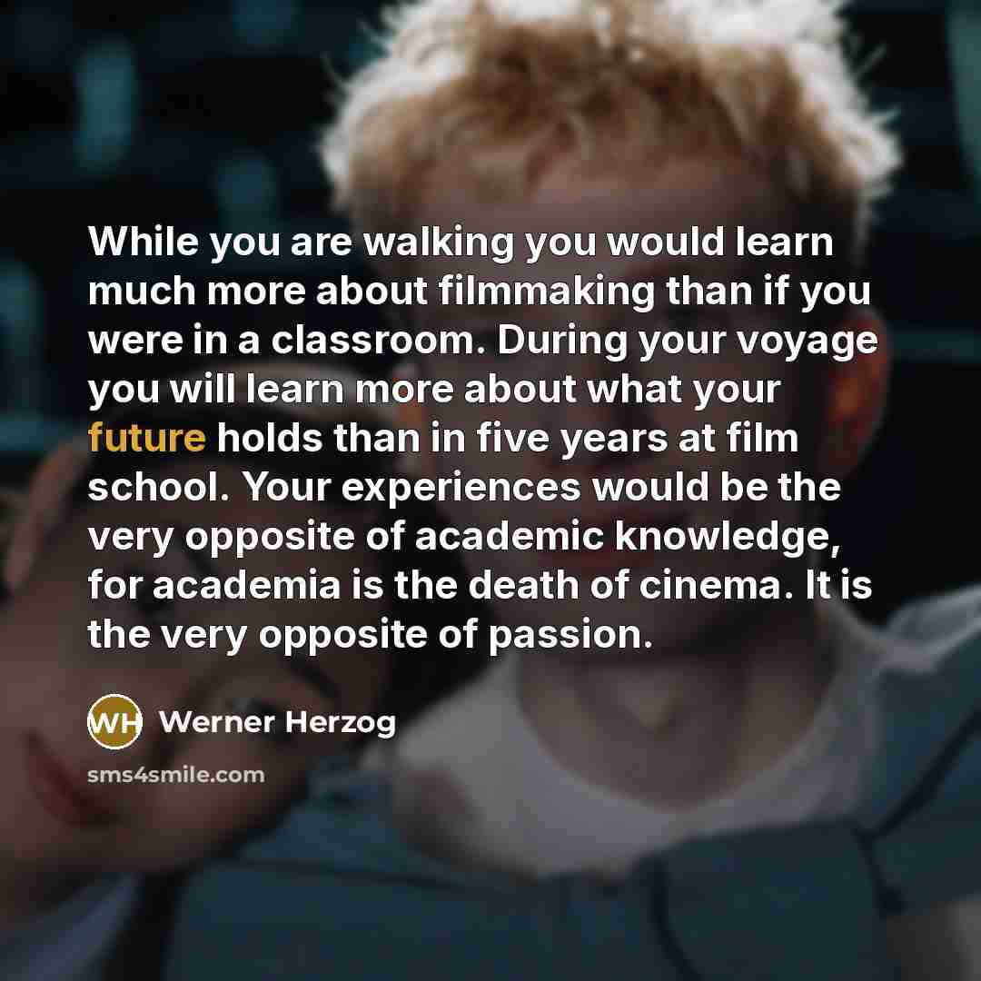 “While you are walking you would learn much more about…” quote by Werner Herzog