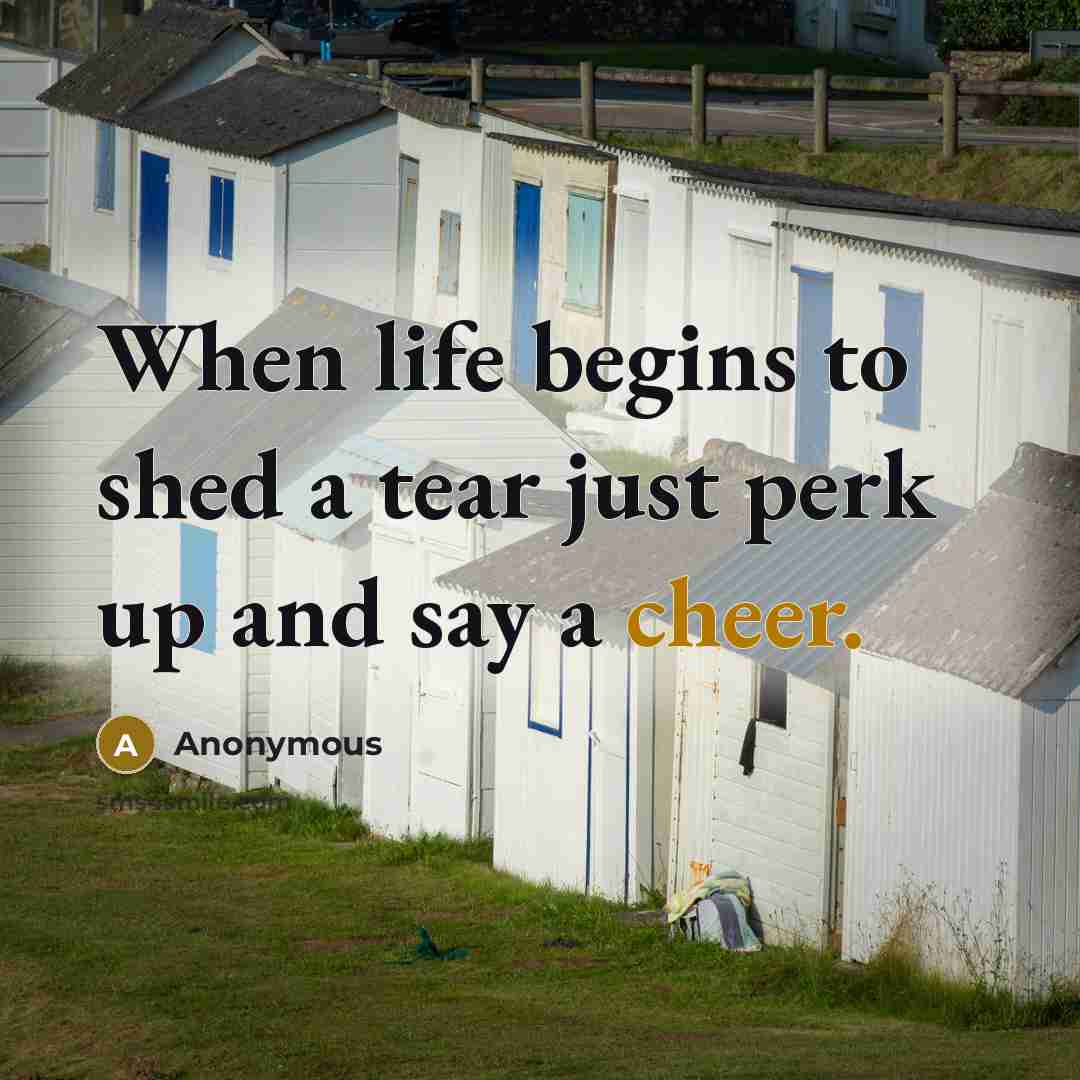 “When life begins to shed a tear just perk up…” quote by Anonymous