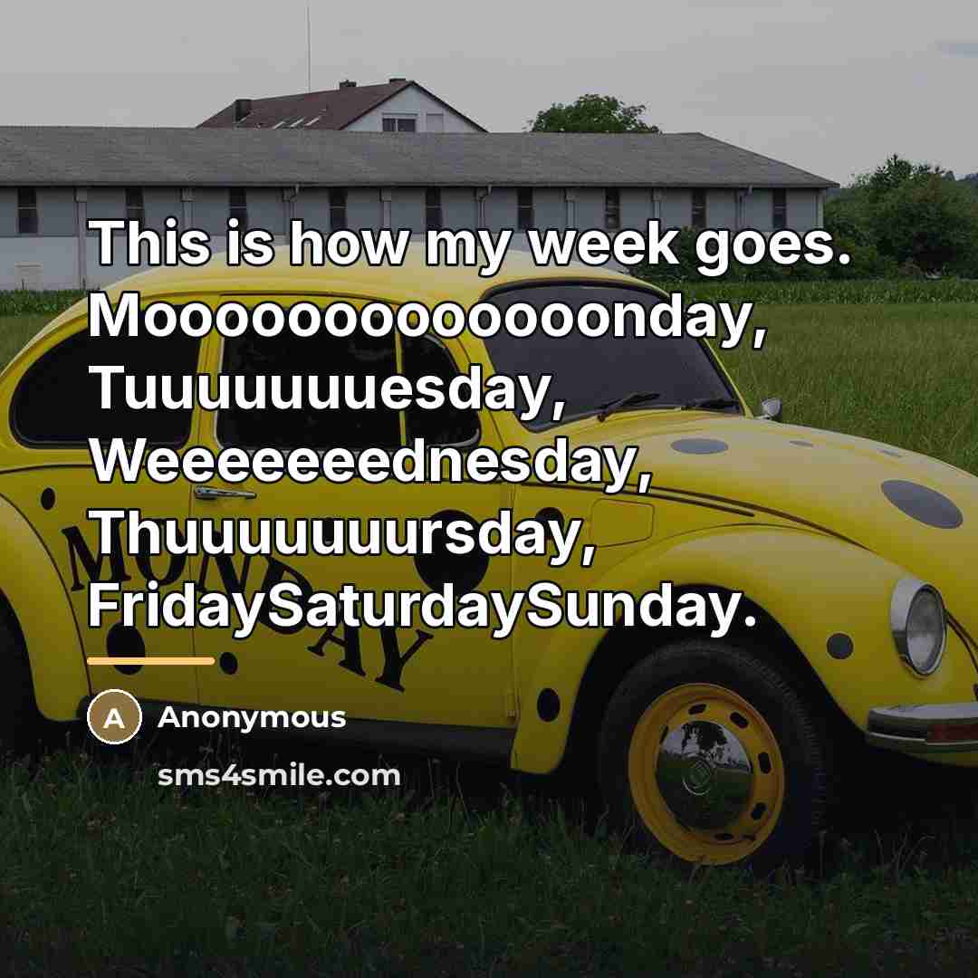 “This is how my week goes. Mooooooooooooonday, Tuuuuuuuesday, Weeeeeeednesday, Thuuuuuuursday,…” quote by Anonymous