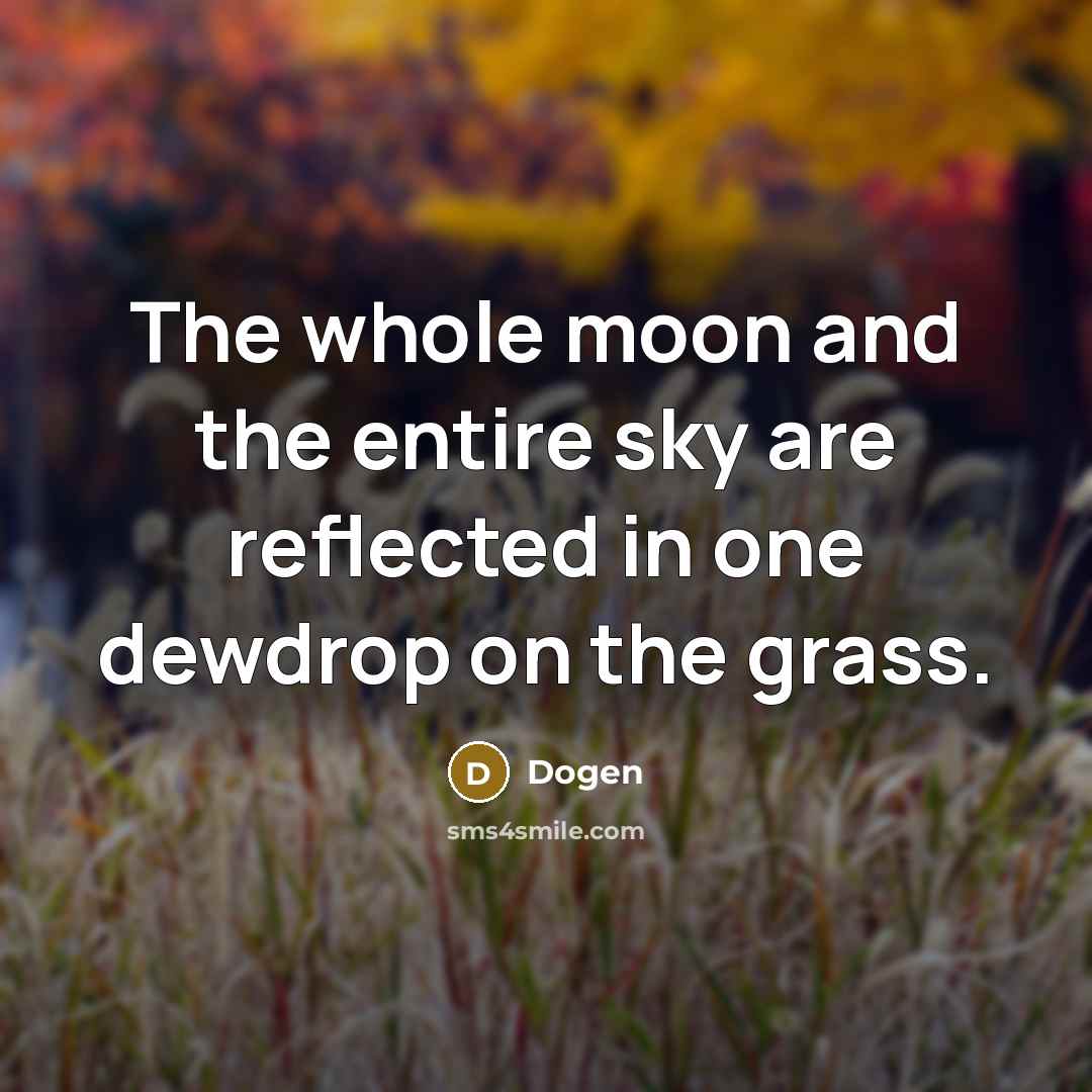 “The whole moon and the entire sky are reflected in…” quote by Dogen