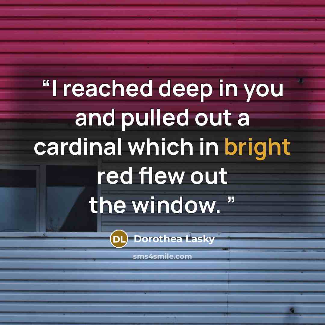“I reached deep in you and pulled out a cardinal which in bright red flew out the window.” quote by Dorothea Lasky