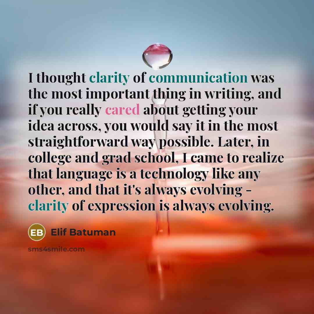 “I thought clarity of communication was the most important thing…” quote by Elif Batuman