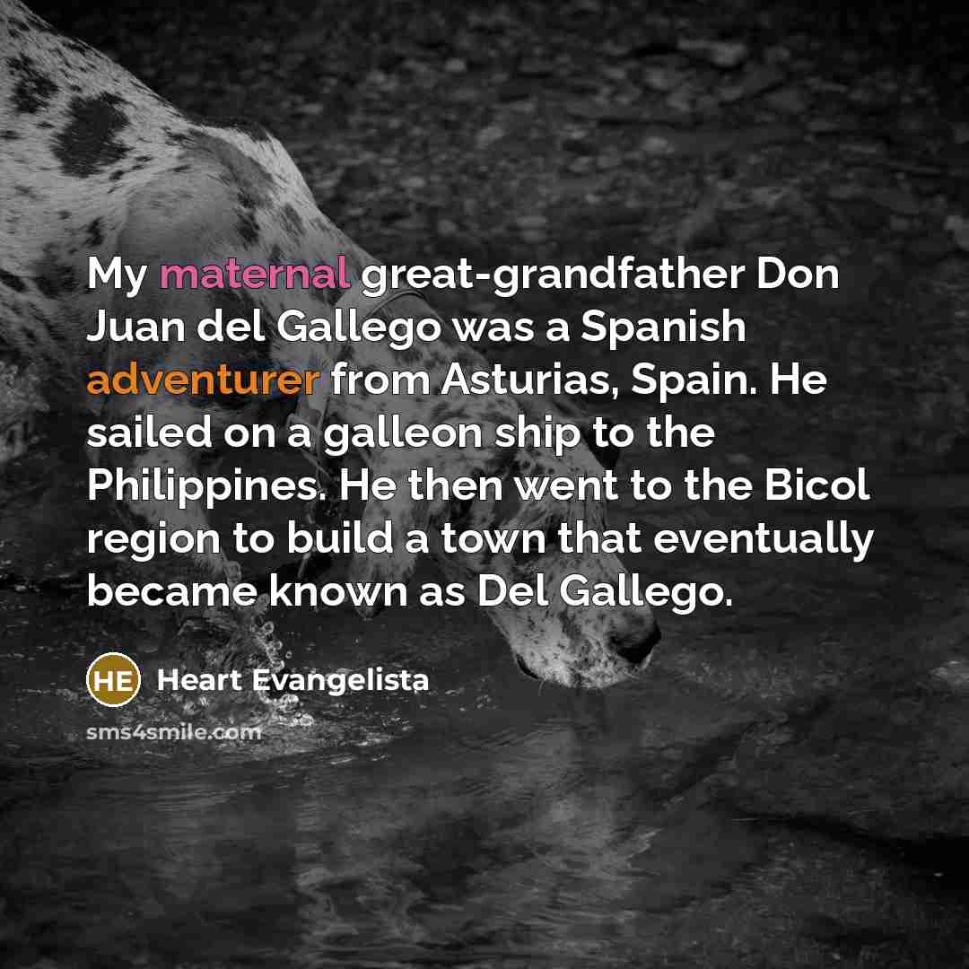 “My maternal great-grandfather Don Juan del Gallego was a Spanish…” quote by Heart Evangelista
