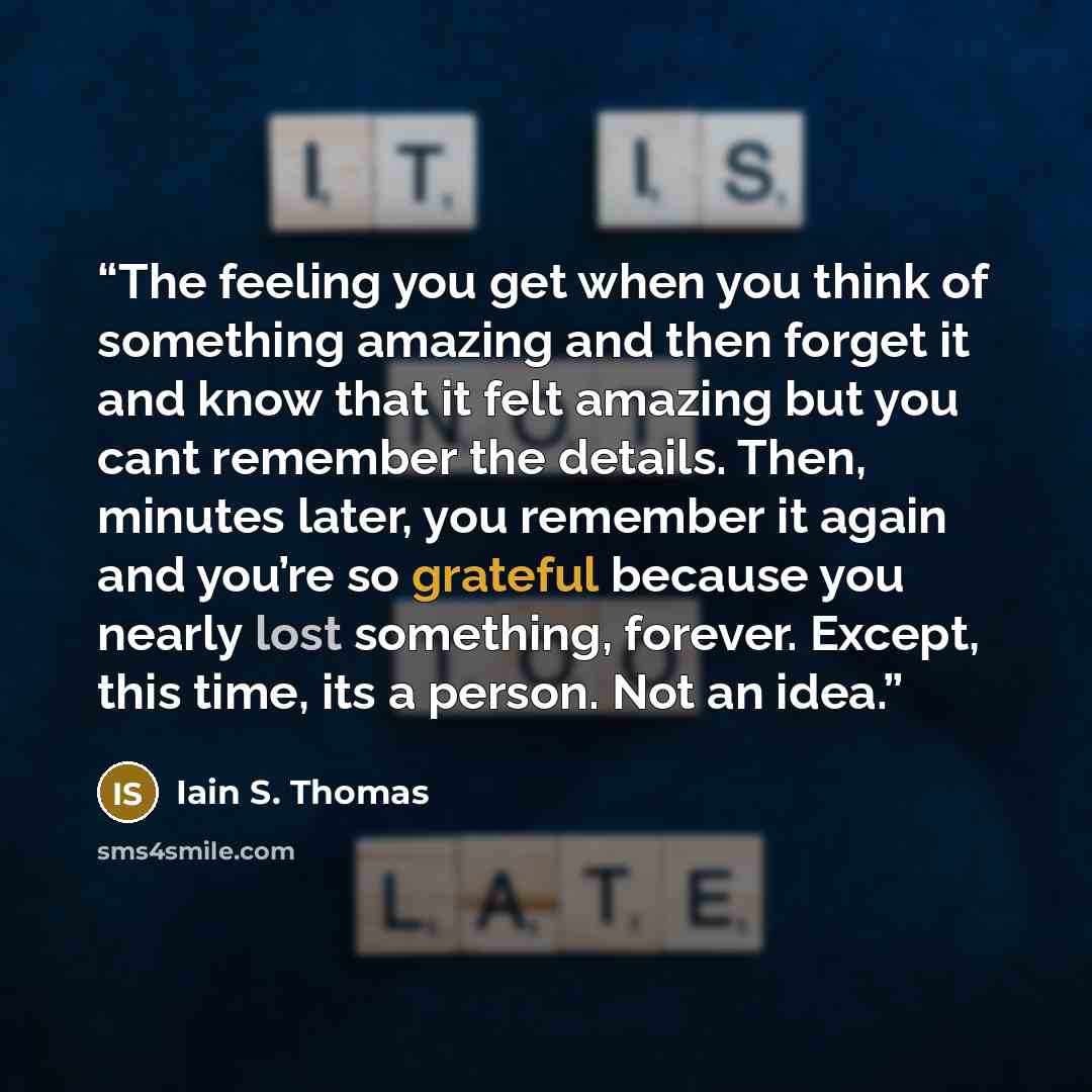 “The feeling you get when you think of something amazing and then forget it and know that it felt amazing but you cant remember the details. Then, minutes later, you remember it again and you’re so grateful because you nearly lost something, forever. Except, this time, its a person. Not an idea.” quote by Iain S. Thomas