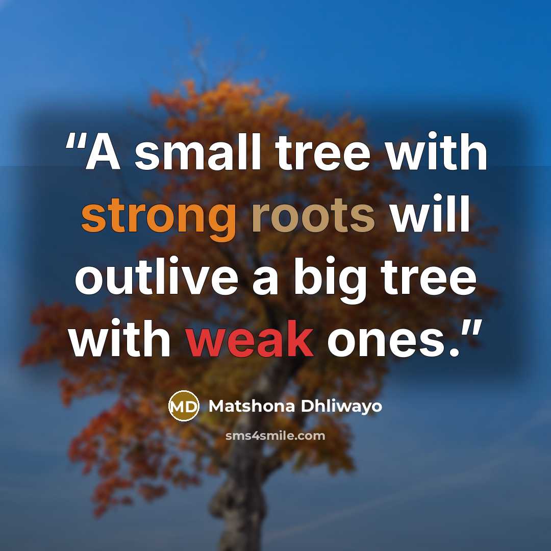 “A small tree with strong roots will outlive a big tree with weak ones.” quote by Matshona Dhliwayo