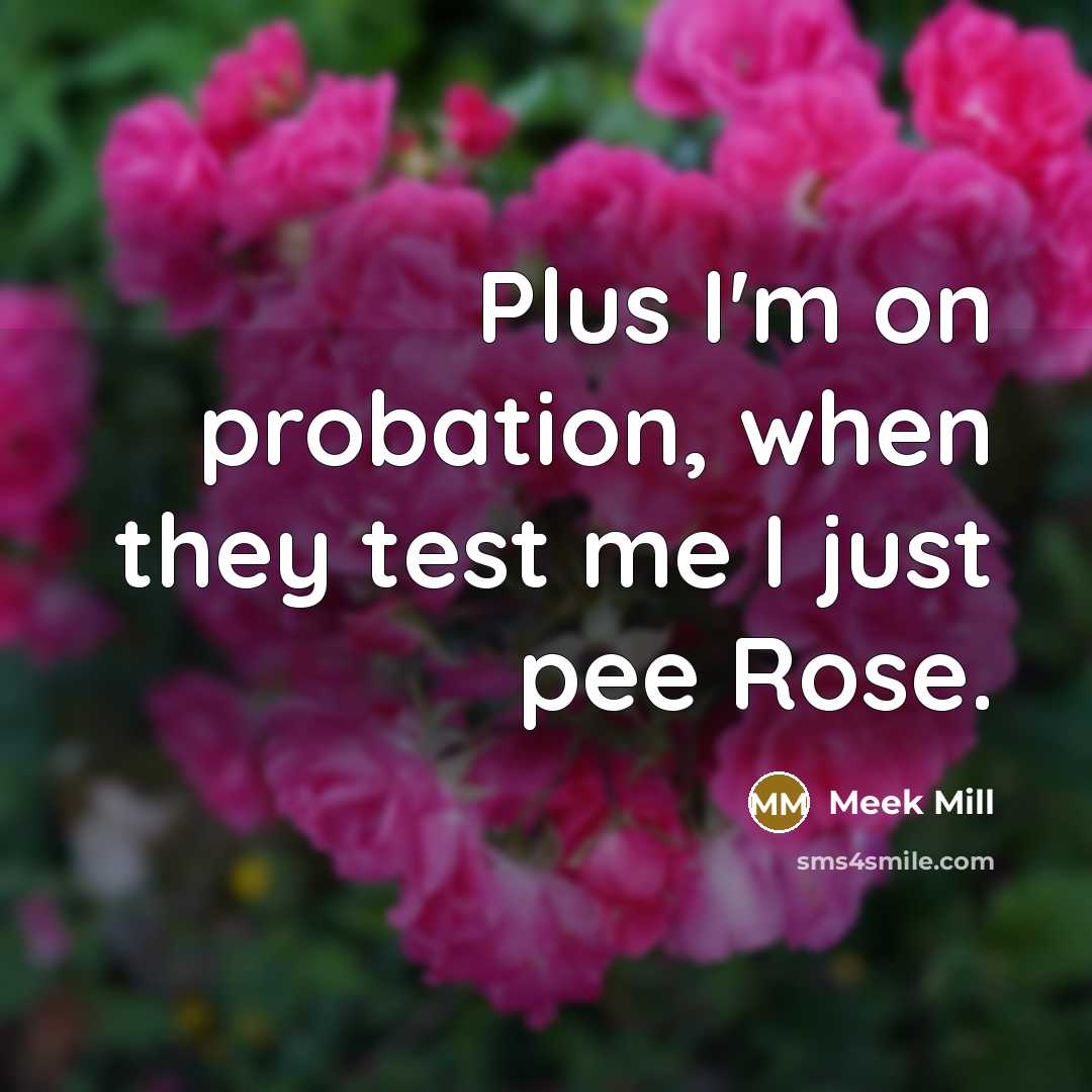 “Plus I'm on probation, when they test me I just…” quote by Meek Mill