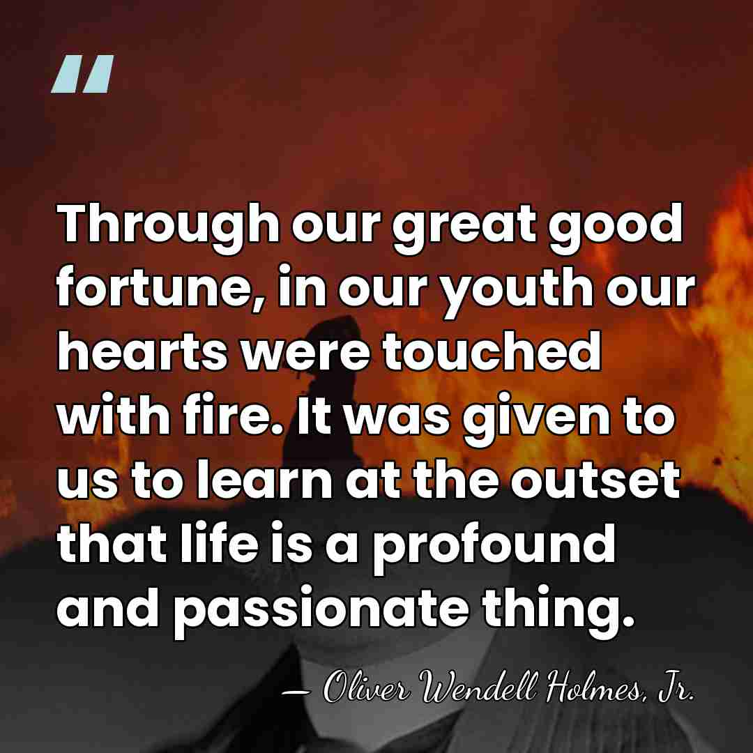 Through our great good fortune, in our youth our hearts were touched&hellip; - Oliver Wendell Holmes, Jr.