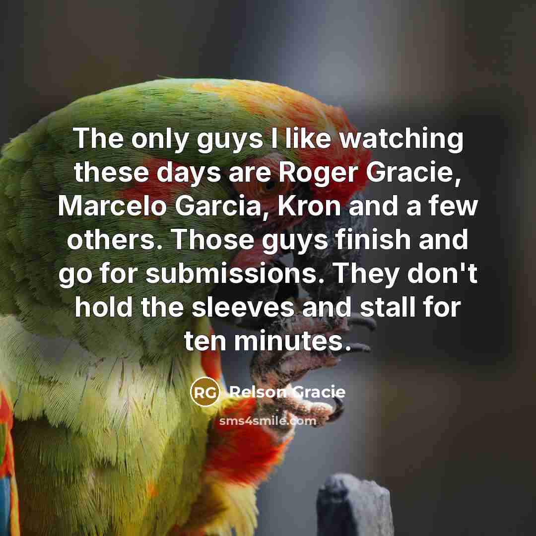 “The only guys I like watching these days are Roger…” quote by Relson Gracie