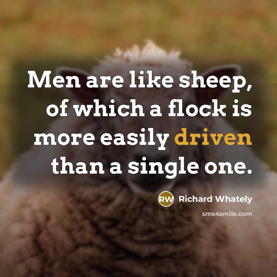“Men are like sheep, of which a flock is more…” quote by Richard Whately