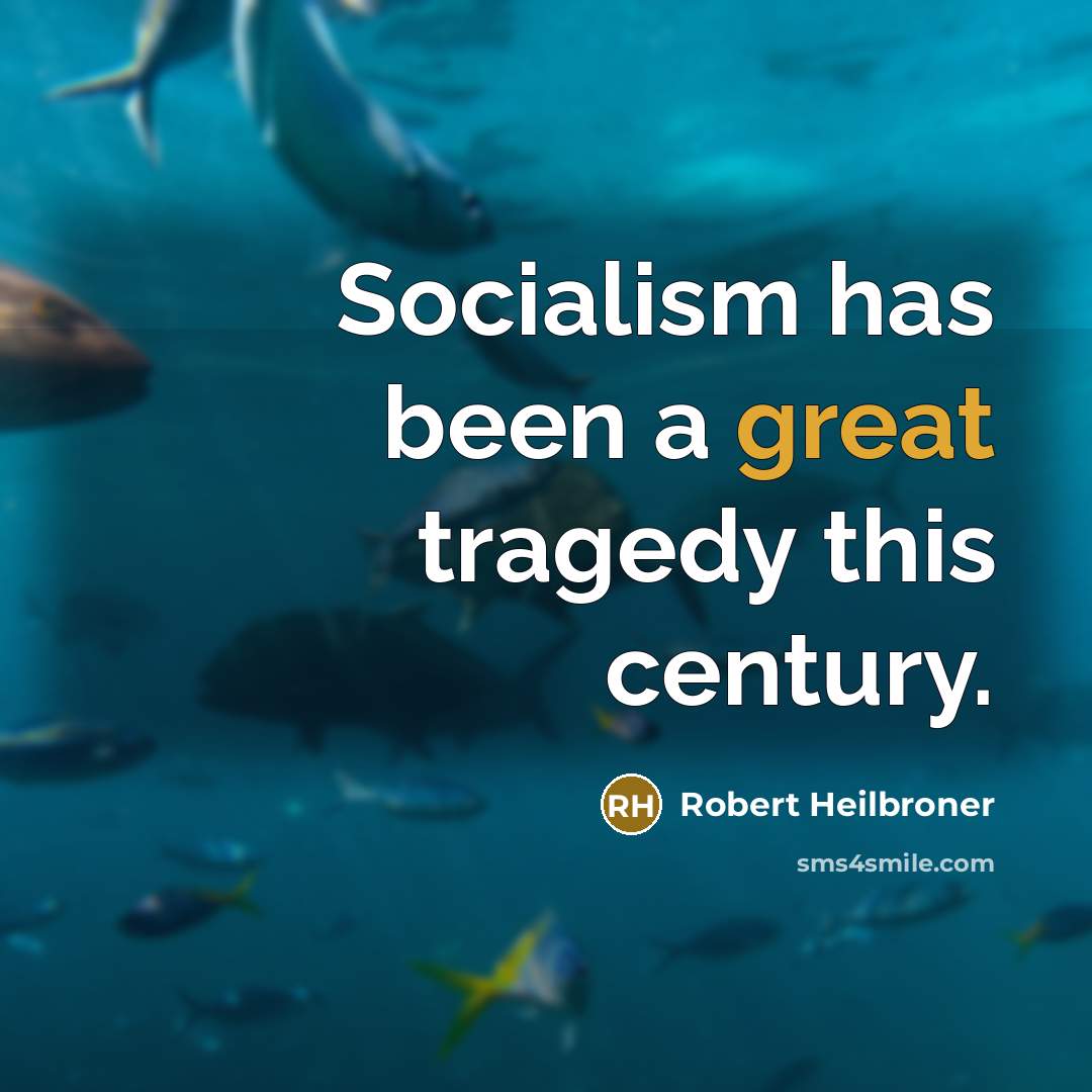 “Socialism has been a great tragedy this century.…” quote by Robert Heilbroner