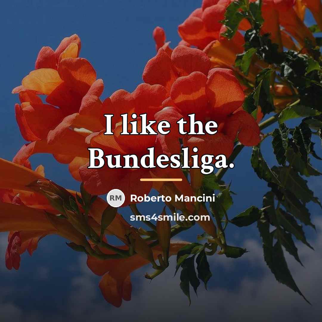 “I like the Bundesliga.…” quote by Roberto Mancini