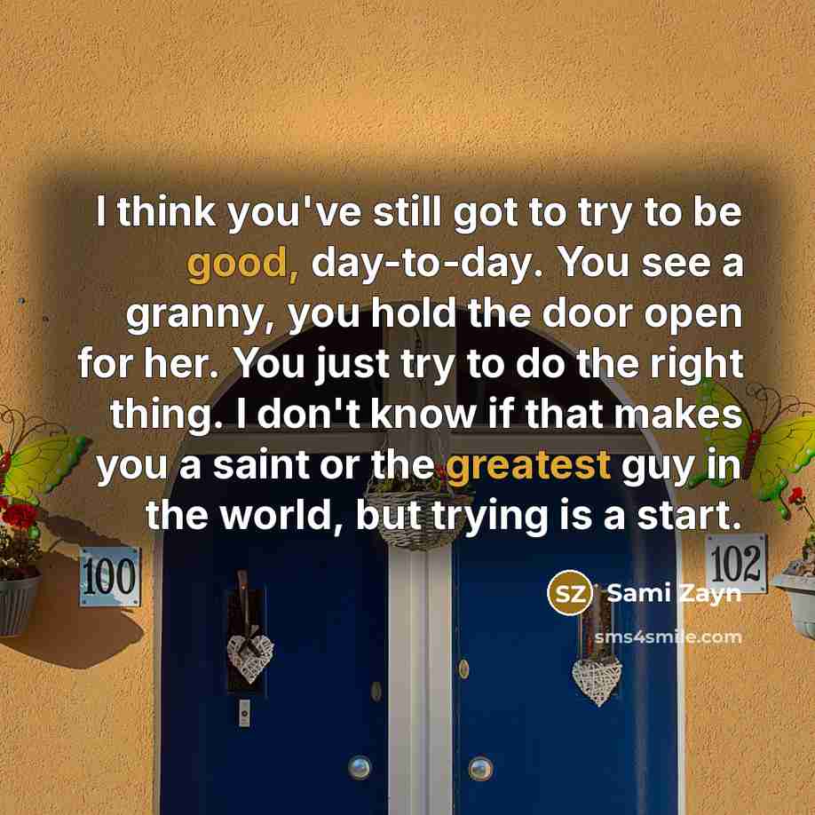 “I think you've still got to try to be good,…” quote by Sami Zayn
