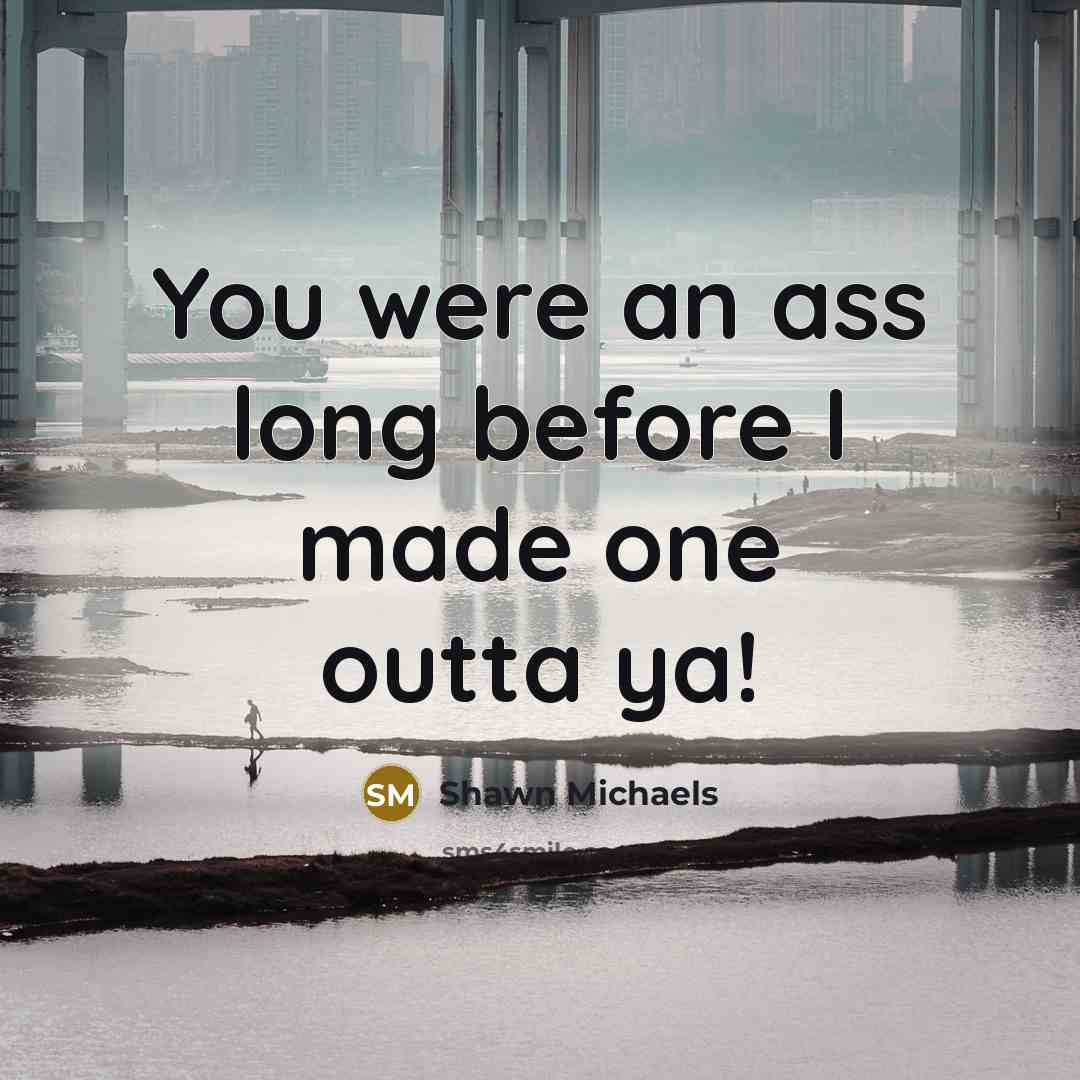 “You were an ass long before I made one outta…” quote by Shawn Michaels