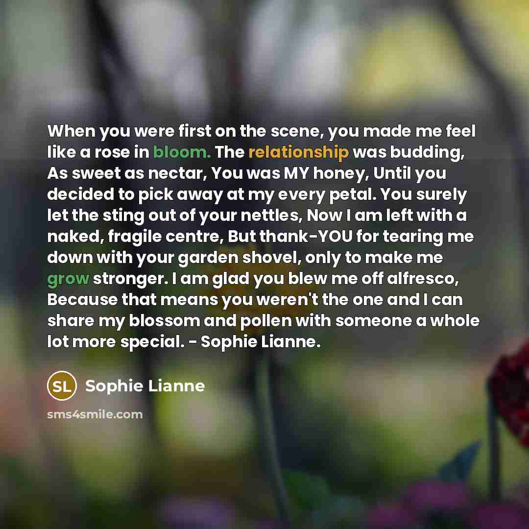 “When you were first on the scene, you made me feel like a rose in bloom. The relationship was budding, As sweet as nectar, You was MY honey, Until you decided to pick away at my every petal. You surely let the sting out of your nettles, Now I am left with a naked, fragile centre, But thank-YOU for…” quote by Sophie Lianne