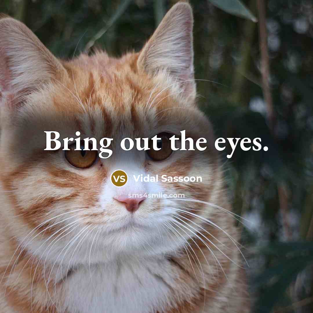 “Bring out the eyes.…” quote by Vidal Sassoon