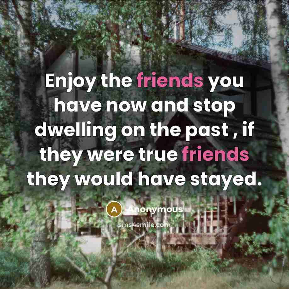 “Enjoy the friends you have now and stop dwelling on…” quote by Anonymous