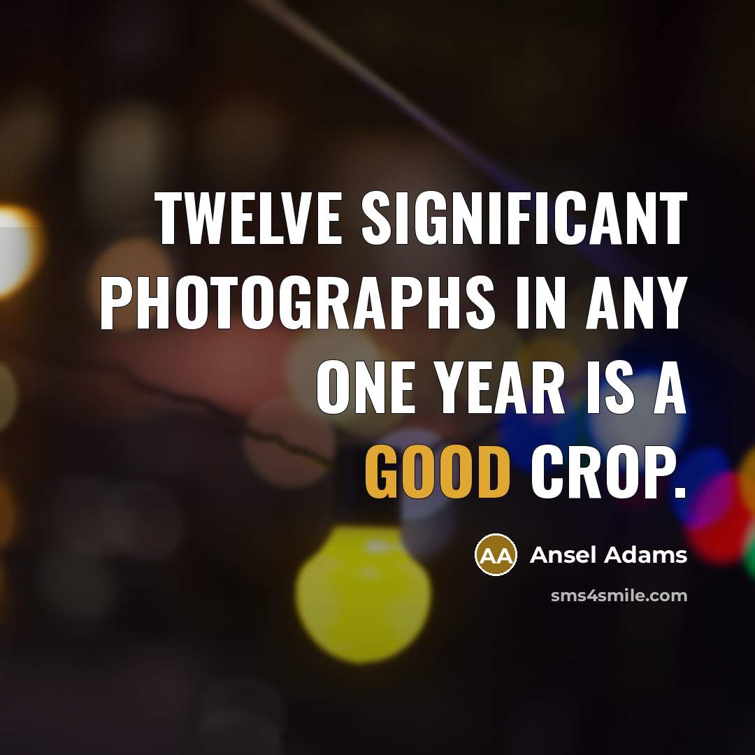 “Twelve significant photographs in any one year is a good…” quote by Ansel Adams