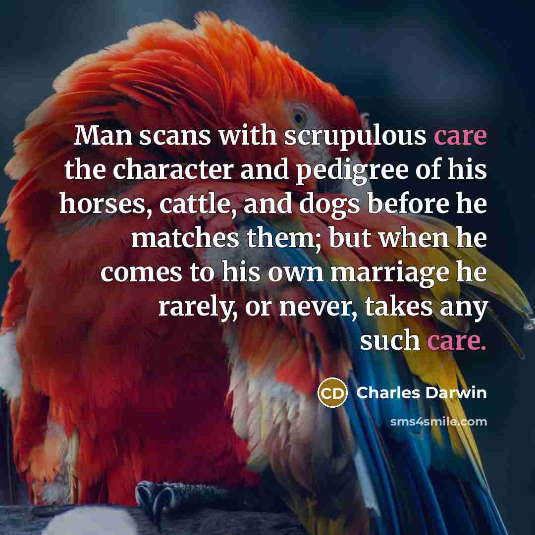 “Man scans with scrupulous care the character and pedigree of…” quote by Charles Darwin